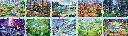 FIGRAV120018995_2.webp