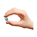 FIGFUN81134_3.webp
