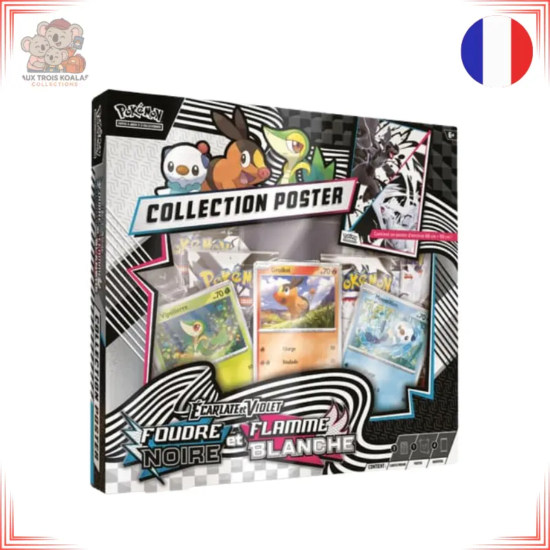 Coffret Poster - EV10.5 Foudre Noire et Flamme 