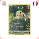 Pokémon - Tortipouss GG31/GG70 - Zénith Suprême